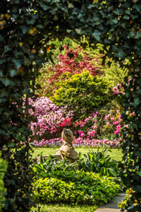View from Hillwood's French Parterre